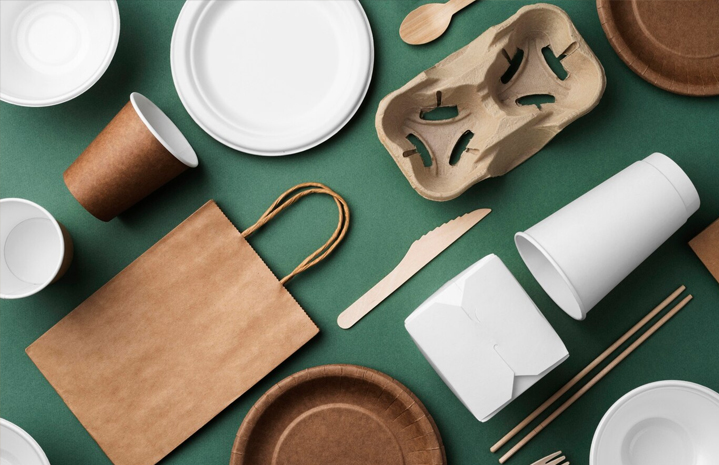 Papirnata zdjela za salatu: Vodič za vrste, upotrebu i kompost