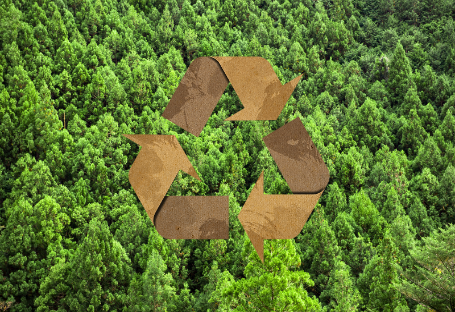 FSC & EUDR & PEFC Vodič za nabavu jednokratnih ugostiteljskih potrepština